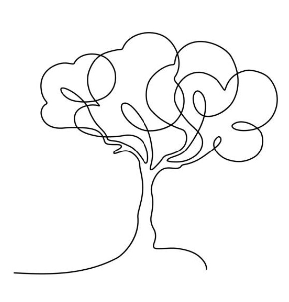 Coaching Végétal et création de jardins